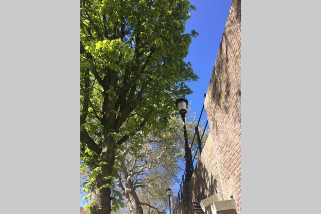 Werfkelder Aan De Oudegracht Apartman Utrecht Kültér fotó